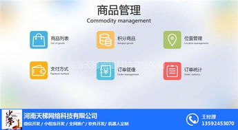 小程序開發(fā) 天梯網(wǎng)絡(luò) 陜西小程序開發(fā)