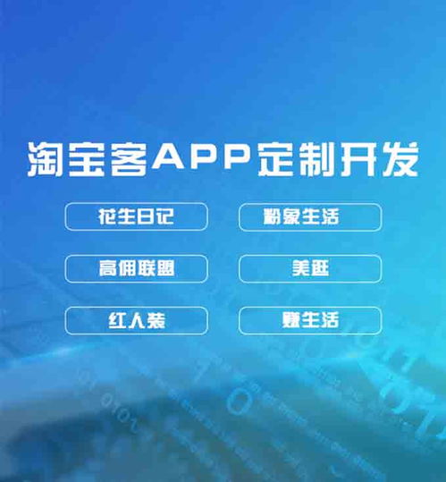 軟件私人定制app開發(fā)公司有哪些